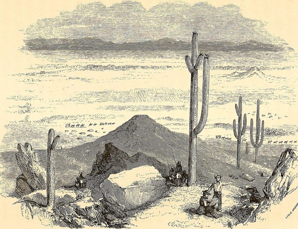 La strada del cuore